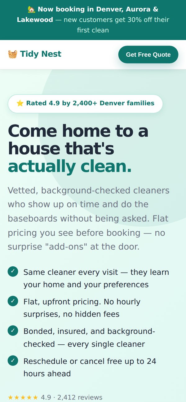 Tidy Nest landing page on mobile